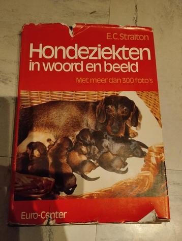 Hondenziekten in woord en beeld  beschikbaar voor biedingen