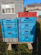 Bas bleu, Enlèvement ou Envoi, Comme neuf