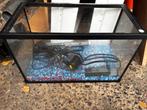 Aquarium, Enlèvement ou Envoi, Comme neuf, Filtre ou CO2