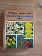 Boek Het grote Bruna geneeskrachtige kruiden-boek, Boeken, Ophalen of Verzenden, Gelezen
