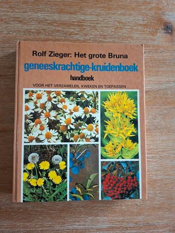 Boek Het grote Bruna geneeskrachtige kruiden-boek beschikbaar voor biedingen