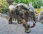 Polyester olifant 80hoog, Ophalen, Nieuw, Kunststof, Dierenbeeld