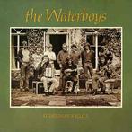 The Waterboys - Fisherman's Blues, Ophalen of Verzenden, Zo goed als nieuw