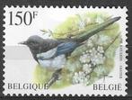 Belgie 1997 - Yvert 2696 /OBP 2697 - Buzin - Ekster (PF), Postzegels en Munten, Postzegels | Europa | België, Verzenden, Postfris