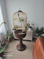 Vogelkooi met 2 kanaries complet, Dieren en Toebehoren, Ophalen, Vogelkooi