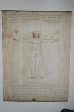 Poster stof Leonardo Davinci, Huis en Inrichting, Woonaccessoires | Schilderijen, Tekeningen en Foto's, Print, 125 cm of meer
