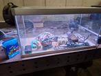 Akvastabil 80liter, Enlèvement, Comme neuf, Aquarium vide