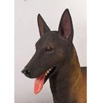 Belgian Malinois beeld – Mechelse Herder Lengte 97 cm, Ophalen, Nieuw