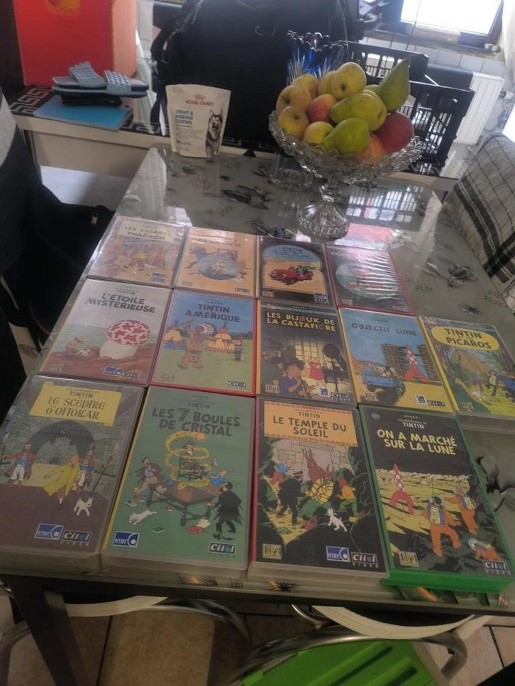 collection cassettes vhs tintin, TV, Hi-fi & Vidéo, TV, Hi-fi & Vidéo Autre, Utilisé, Enlèvement ou Envoi