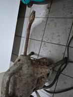 Déboucheur professionnel débouchage canalisations