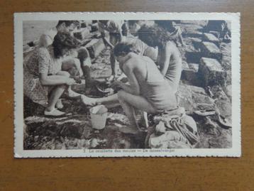 Postkaart Belgische Kust, Mosselvangst / 1948
