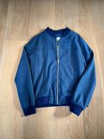 Blauwe blazer / bomberjack Blue Bay - 152 (12 jaar), Enlèvement ou Envoi, Comme neuf, Blue Bay