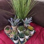 set van 10 kunstplantjes, Ophalen of Verzenden, Gebruikt