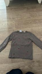 Tshirt zara 4 jaar 1x gedragen, Ophalen, Zo goed als nieuw, Zara, Shirt of Longsleeve