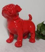 Buldogue Anglais de couleur rouge, Ophalen of Verzenden