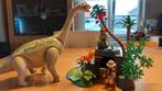 Playmobil Dino., Kinderen en Baby's, Speelgoed | Playmobil, Ophalen, Zo goed als nieuw