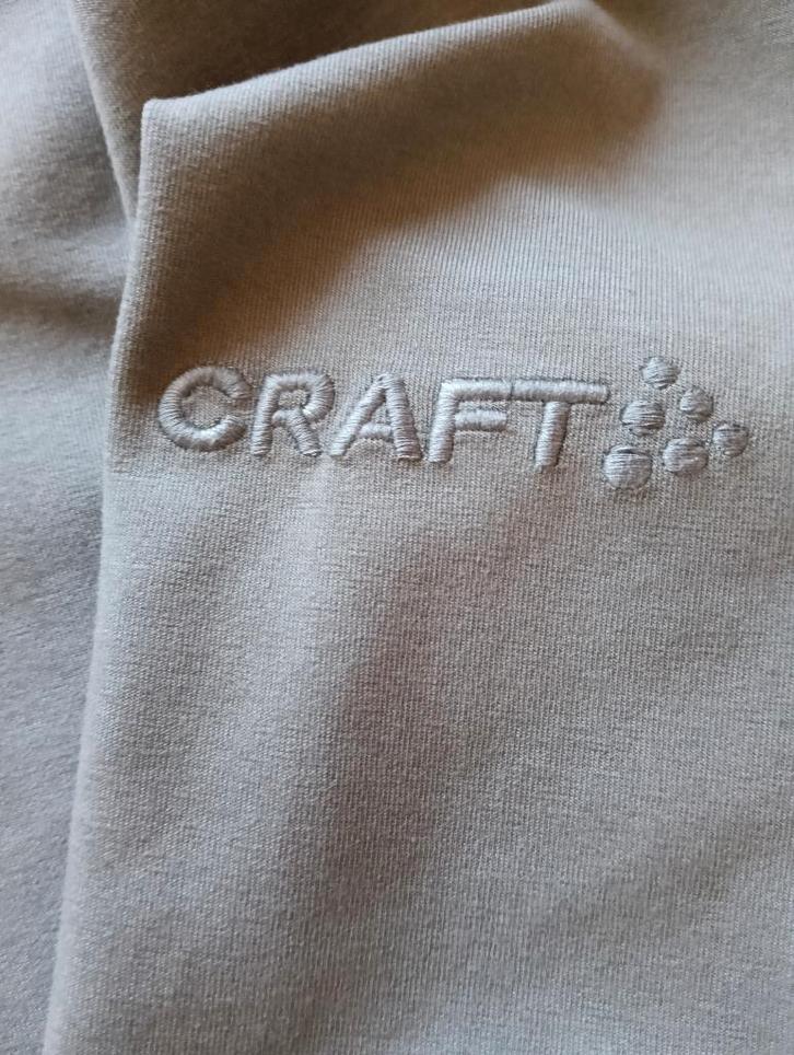 Hoodie van het merk CRAFT (te 8430 Middelkerke), Vêtements | Hommes, Pulls & Vestes, Comme neuf, Taille 48/50 (M), Gris, Enlèvement