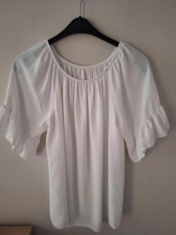 Nieuwe blouse large, Kleding | Dames, Ophalen of Verzenden, Zo goed als nieuw