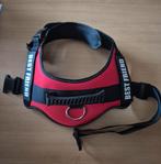 Harnais rouge et noir, Animaux & Accessoires, Enlèvement ou Envoi