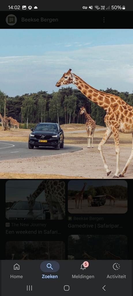 Beekse Bergen 21/09 Tickets !!!, Tickets en Kaartjes, Overige Tickets en Kaartjes
