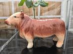 beswick bull stier koe in keramiek voor slagerij, Ophalen of Verzenden