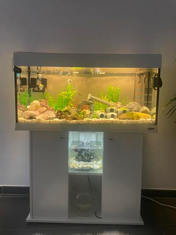 Compleet Aquarium met toebehoren+decoratie+vissen! beschikbaar voor biedingen
