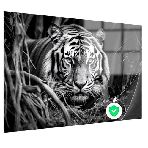 zwart wit tijger portret Poster 90x60cm glans, Huis en Inrichting, Woonaccessoires | Wanddecoraties, Nieuw, Verzenden