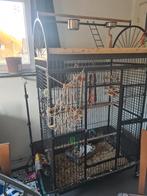 Cage perroquet, Dieren en Toebehoren, Vogels | Hokken en Kooien, Ophalen, Gebruikt, Metaal, Volière