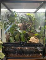 Exo terra terrarium ingericht 45x45x60cm, Dieren en Toebehoren, Ophalen, Zo goed als nieuw