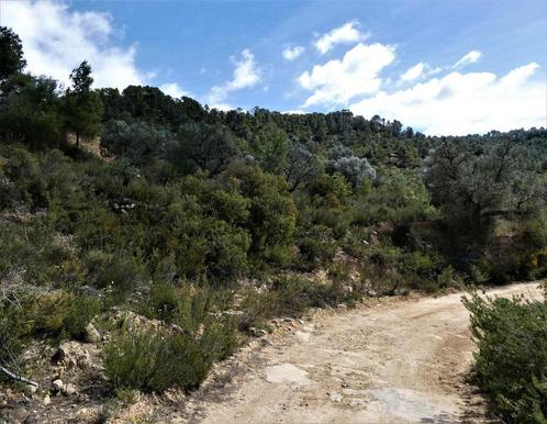 Finca à Arens de Lledó (Aragon, Espagne) - 0898, Immo, Étranger, Espagne, Autres types, Campagne