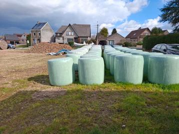 Te koop grote pakken voedermais NINOVE, Dieren en Toebehoren, Paarden