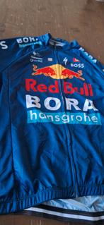 koerstrui bora, Ophalen of Verzenden