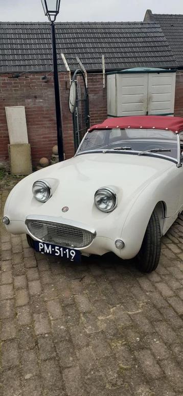 Austin Healey Sprite kikkeroog wit 1958 beschikbaar voor biedingen