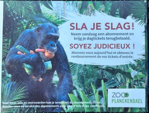 Tickets voor Zoo Planckendael Mechelen of Zoo van Antwerpen, Tickets en Kaartjes, Recreatie | Pretparken en Attractieparken, Drie personen of meer