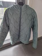 Nieuwe vest, Ophalen, Maat 52/54 (L), VP Fashion, Nieuw