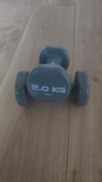 Dumbbells, Sport en Fitness, Fitnessmaterialen, Ophalen of Verzenden