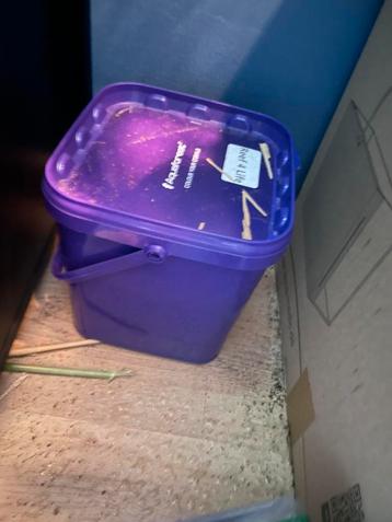 Aquarium marin complet (jamais utilisé) 90L avec  beschikbaar voor biedingen