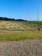 Kleine pakken hooi 2025, Dieren en Toebehoren
