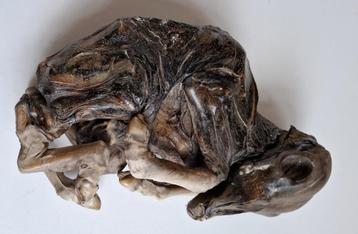 Antiek zeldzaam en uniek steenvrucht kalf museum object beschikbaar voor biedingen
