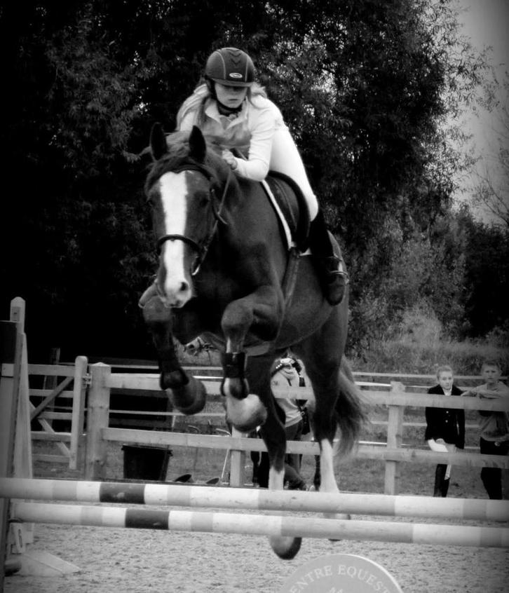 Uitbetaling, werkpensioen, verkoop van deposito's, Dieren en Toebehoren, Paarden en Pony's | Verzorgingsproducten, Zo goed als nieuw