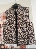 Escandelle reversible jas, Ophalen of Verzenden, Zo goed als nieuw, Maat 42/44 (L)