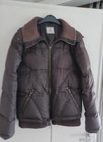 jas Esprit maat XXL bruin, Kleding | Dames, Bruin, Verzenden, Maat 42/44 (L), Gedragen