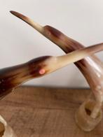 Hoorn, Antiek en Kunst, Ophalen of Verzenden