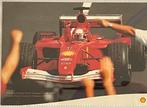 Michael Schumacher world champion f1 2001, Ophalen of Verzenden, Zo goed als nieuw