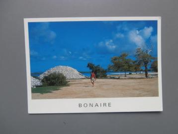 Ansichtkaart Bonaire Nederlandse Antillen Beach
