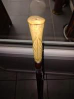 Canne, Antiquités & Art