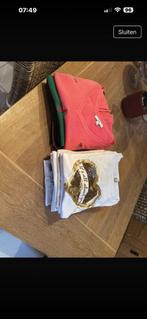 25 tshirts maat L.  15 witte. 10 gekleurde., Kleding | Dames, Ophalen, Zo goed als nieuw, Maat 42/44 (L)