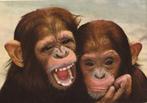 JONGE  CHIMPANSEES   + Mooie postzegel, Verzamelen, Postkaarten | Dieren, Verzenden, 1960 tot 1980, Gelopen, Wild dier