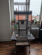 Kooi, met de inhoud, Dieren en Toebehoren, Vogels | Hokken en Kooien, Ophalen, Zo goed als nieuw