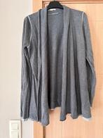 Gilet Esprit maat XXL (nr5740), Maat 42/44 (L), Ophalen of Verzenden, Grijs, Gedragen